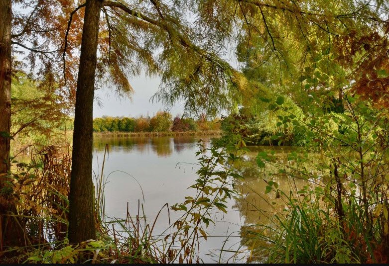 Bodenham Arboretum, United Kingdom